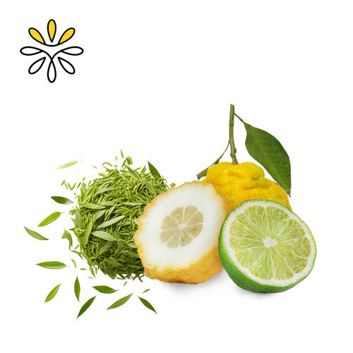 Bergamot Lime Kombucha