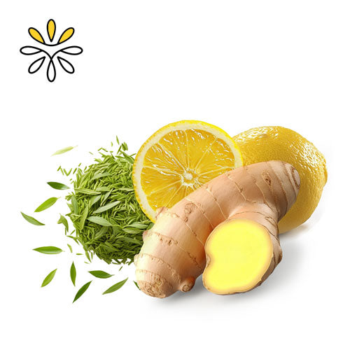 Ginger Lemon Kombucha