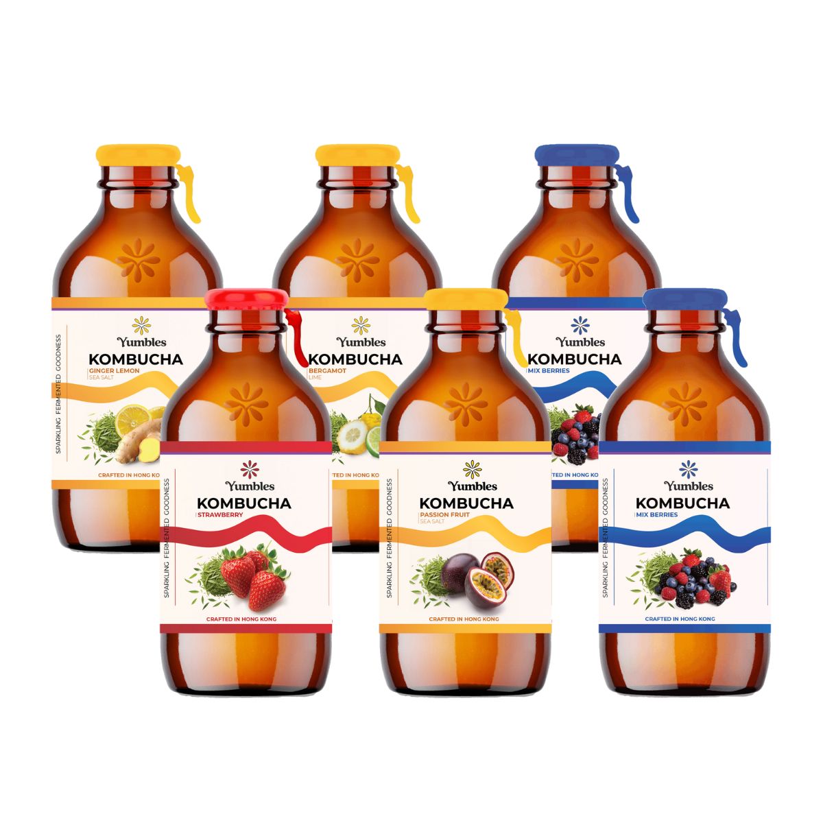 Build Your Own Kombucha 6-Pack